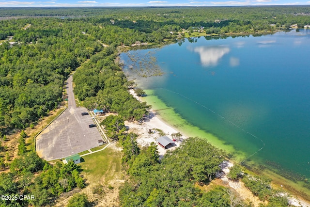 birds eye view of property with a water view and a view of trees
