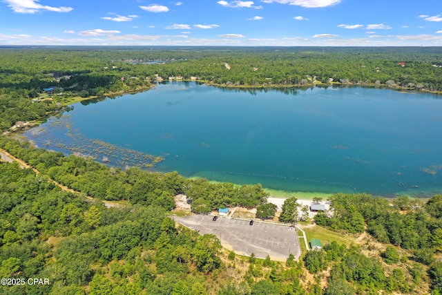 birds eye view of property featuring a water view and a view of trees