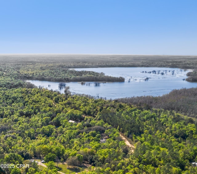 property view of water featuring a wooded view