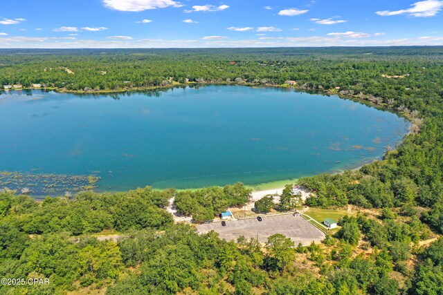 bird's eye view with a wooded view and a water view