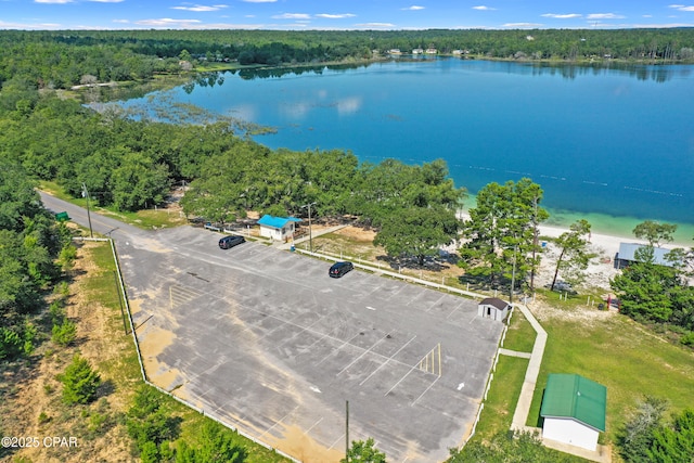 drone / aerial view with a water view and a view of trees