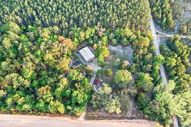 aerial view