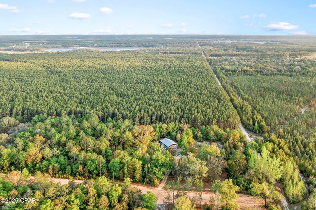 aerial view with a forest view