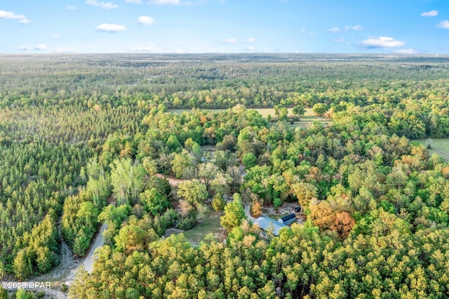 bird's eye view with a forest view