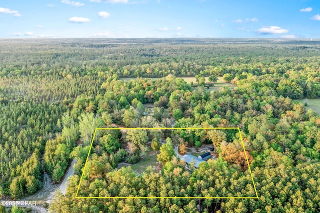 aerial view with a forest view