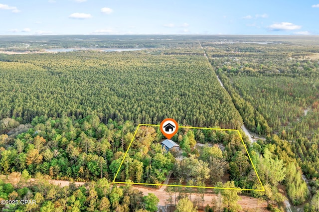aerial view with a wooded view