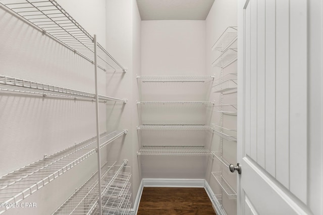 31 Viper Rd, Santa Rosa Beach, FL 32459 - spacious closet with wood finished floors