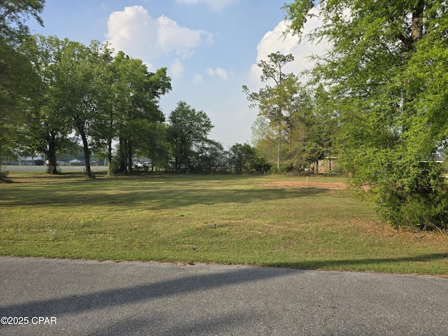 4610 Pineview Dr, Marianna, FL 32446 - view of grassy yard