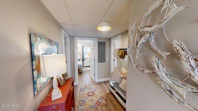 1314 Mcclelland Ave, Port St Joe, FL 32456 - hallway featuring a drop ceiling, electric panel, wood finished floors, and baseboards