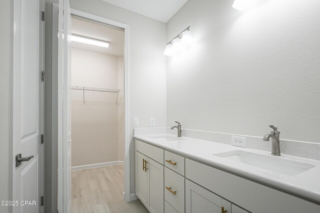 bathroom featuring a sink, a walk in closet, double vanity, and wood finished floors