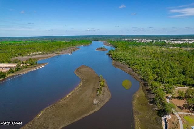 drone / aerial view featuring a wooded view and a water view