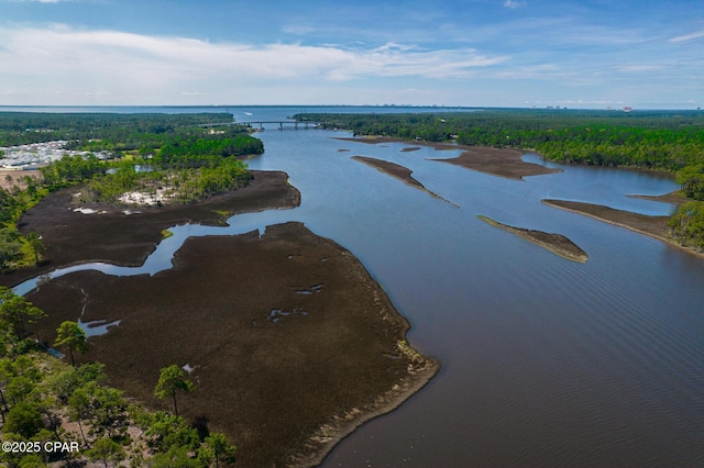drone / aerial view with a forest view and a water view