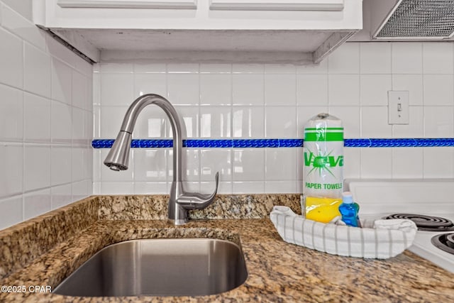 details with stone countertops, a sink, and decorative backsplash