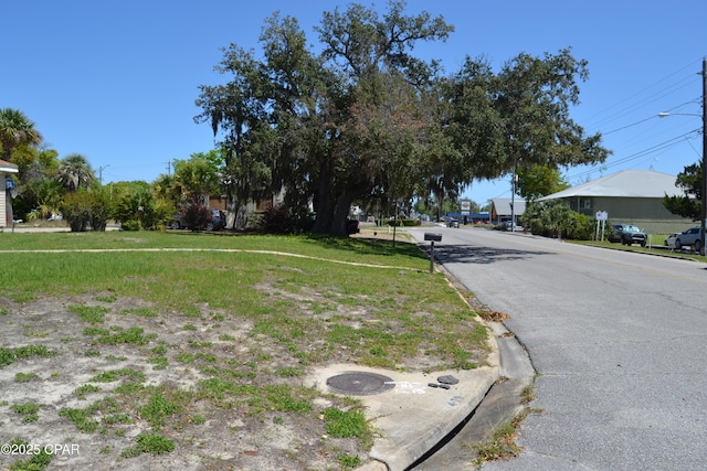 view of road with curbs