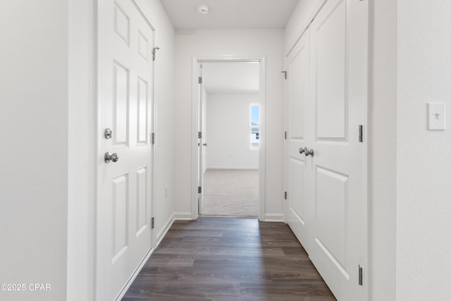 8028 Greyling Cir, Youngstown, FL 32466 - hall with dark wood-style flooring and baseboards