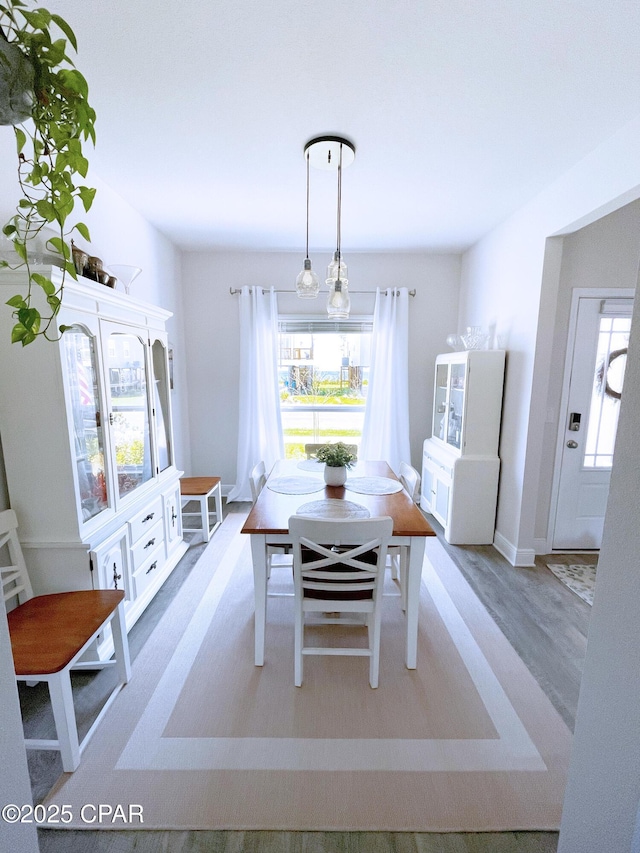 dining room with wood finished floors