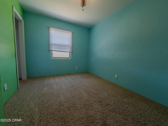 spare room with carpet floors