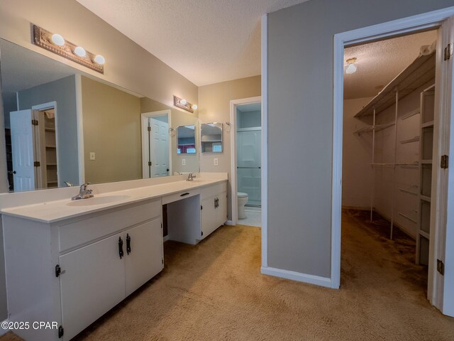 2613 Indian Springs Rd, Marianna, FL 32446 - full bathroom with a sink, toilet, double vanity, and a textured ceiling
