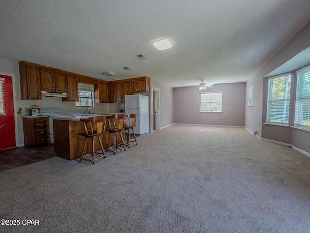 2613 Indian Springs Rd, Marianna, FL 32446 - kitchen with ceiling fan, white appliances, under cabinet range hood, open floor plan, and a breakfast bar area