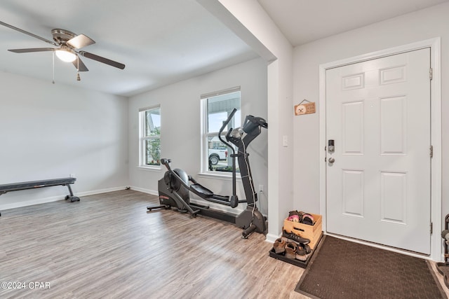 3946 Whitehead Blvd, Panama City, FL 32404 - workout room featuring ceiling fan, baseboards, and wood finished floors