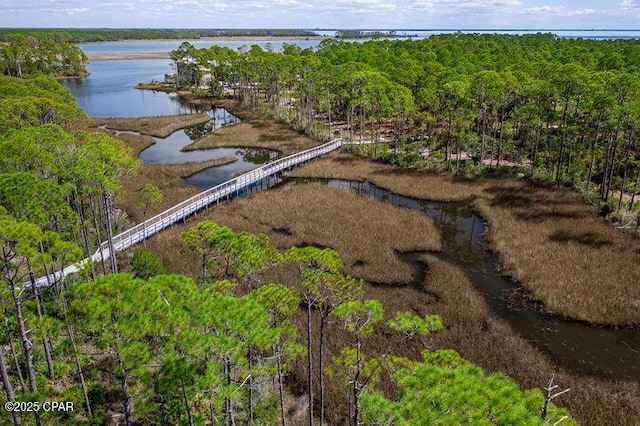 birds eye view of property featuring a forest view and a water view