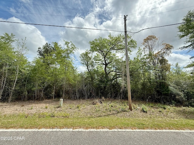 00 Mashburn Rd, Marianna, FL 32448