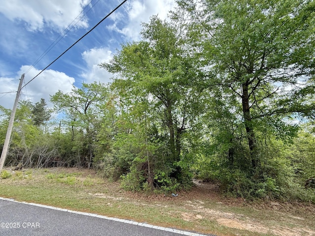 00 Mashburn Rd, Marianna, FL 32448