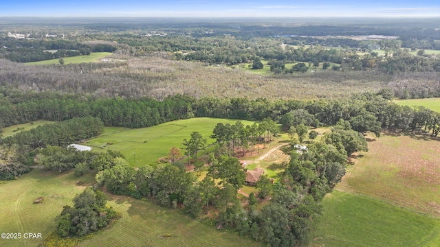 birds eye view of property featuring a rural view