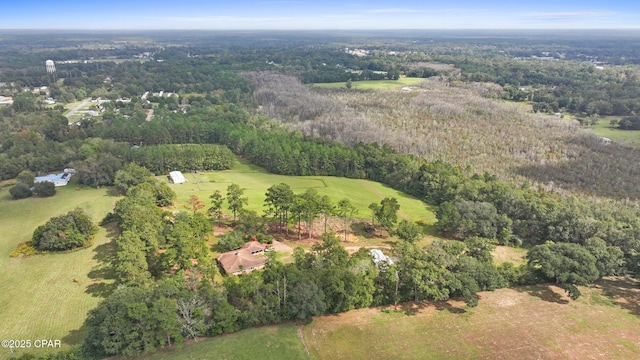 bird's eye view with a view of trees