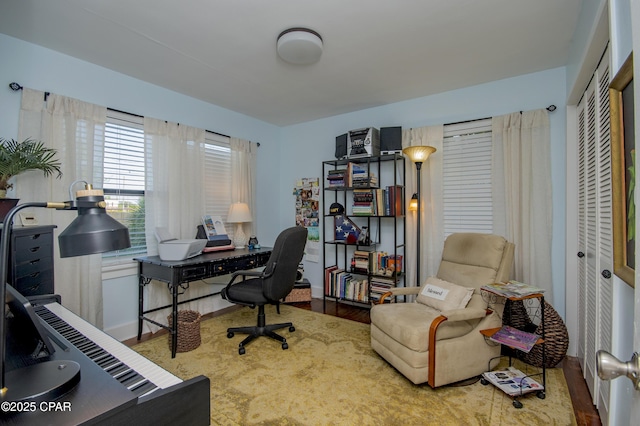 office featuring wood finished floors