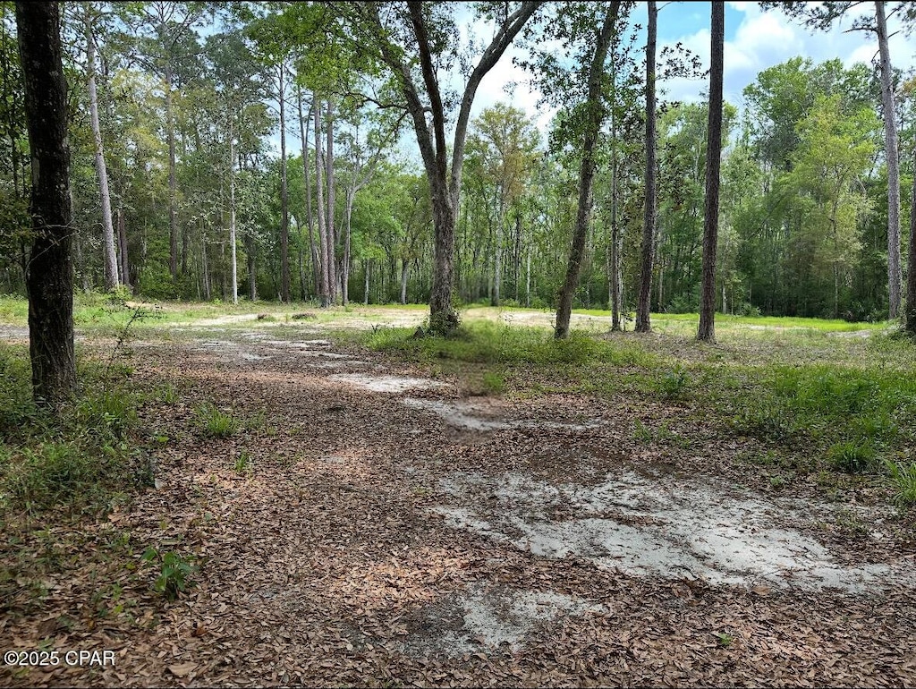 378 S Turkey Ave, Wewahitchka, FL 32465