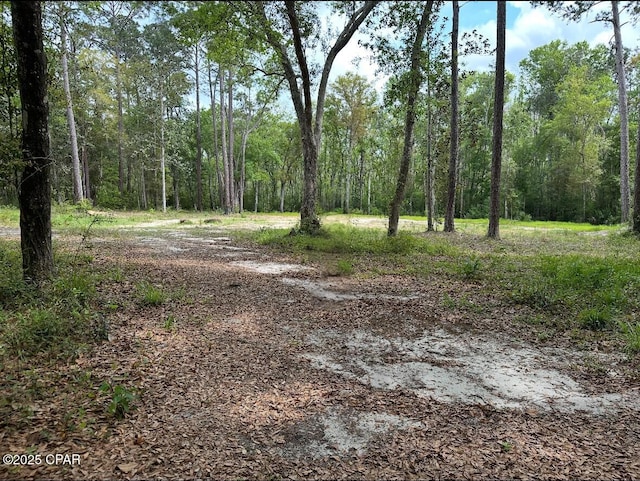 378 S Turkey Ave, Wewahitchka, FL 32465