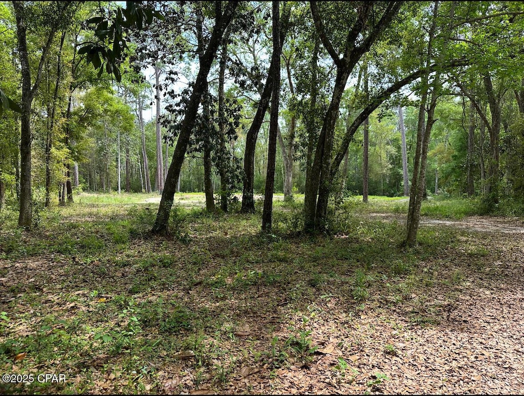 378 S Turkey Ave, Wewahitchka, FL 32465