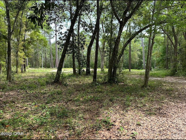 378 S Turkey Ave, Wewahitchka, FL 32465