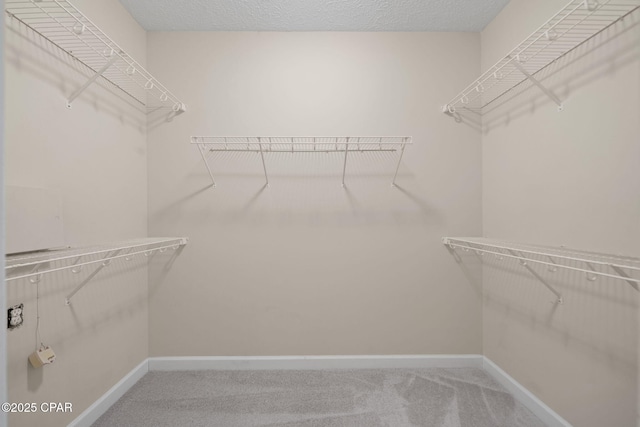walk in closet featuring carpet