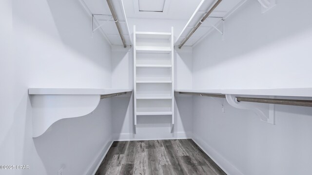 1113 New Hampshire Ave, Lynn Haven, FL 32444 - walk in closet with dark wood-type flooring