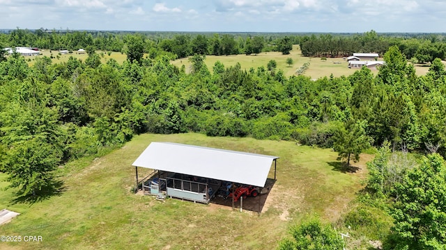 drone / aerial view