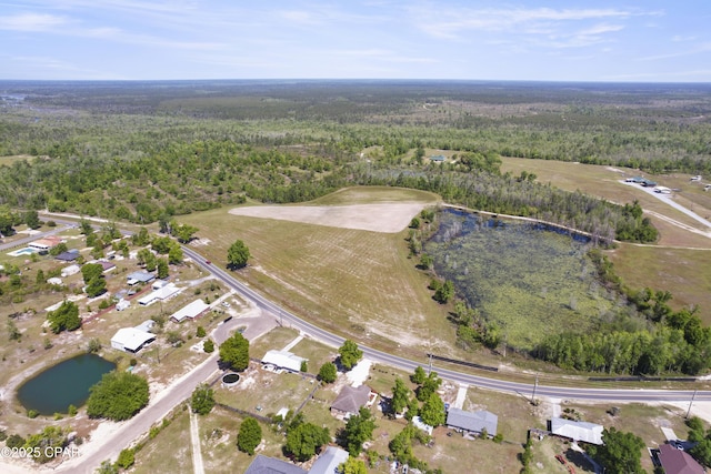 aerial view with a forest view