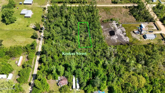 11717 Krocus St, Fountain, FL 32438