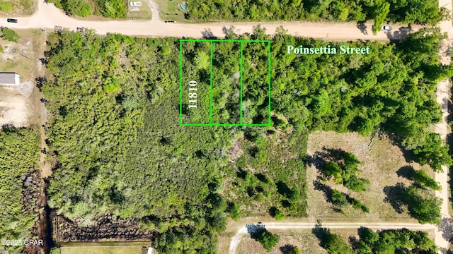 11810 Poinsettia St, Fountain, FL 32438
