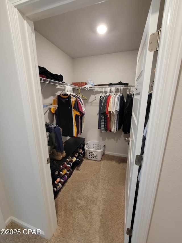 walk in closet featuring carpet floors