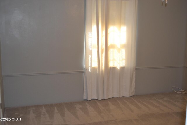 spare room with carpet