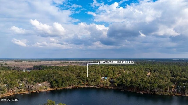 aerial view with a forest view and a water view