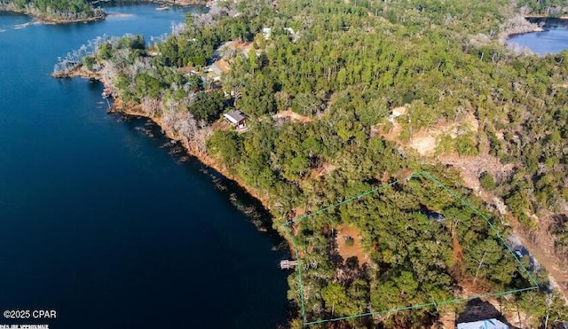 bird's eye view featuring a view of trees and a water view