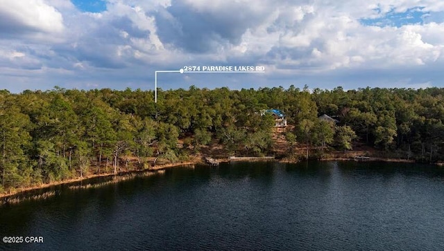 birds eye view of property featuring a water view and a wooded view