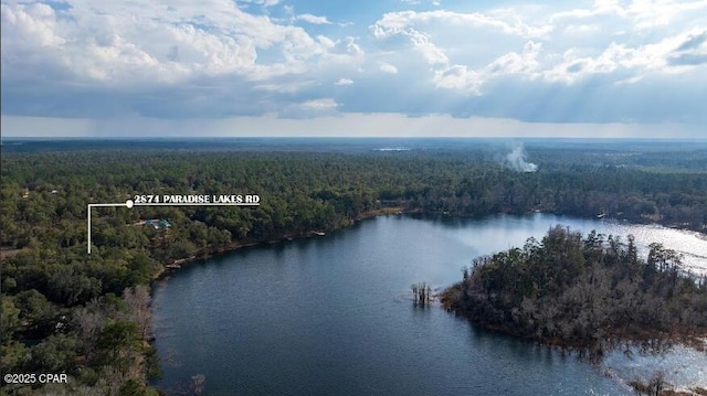 birds eye view of property featuring a view of trees and a water view