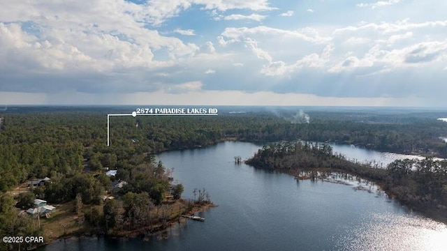 aerial view featuring a water view and a wooded view