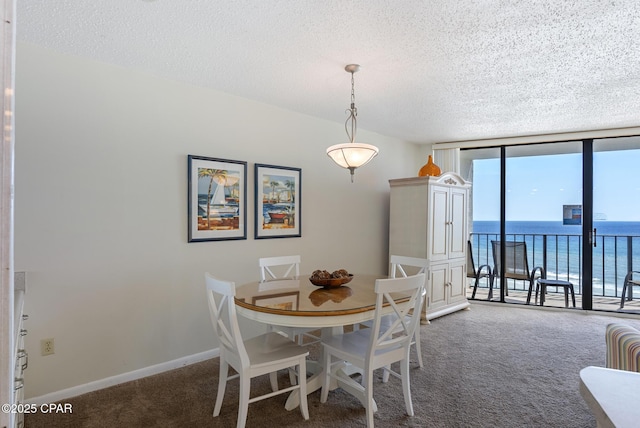 dining room with carpet flooring, a textured ceiling, floor to ceiling windows, a water view, and baseboards