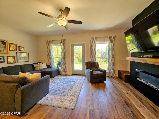 living room featuring a ceiling fan, hardwood / wood-style floors, and a fireplace