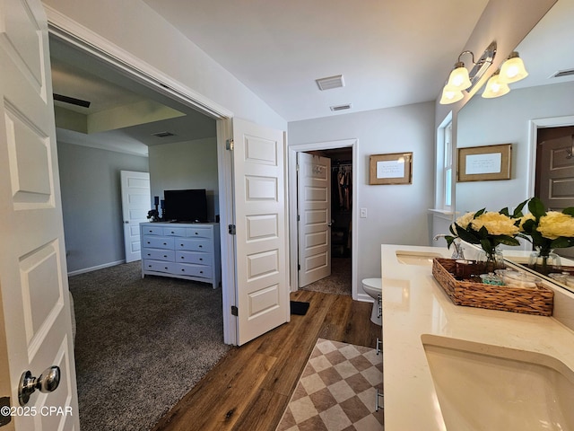 bathroom with double vanity, visible vents, wood finished floors, and a sink